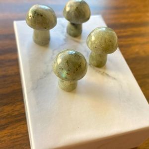 Mini Labradorite mushroom